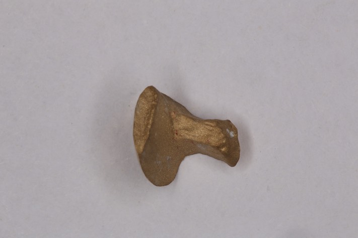 Wayne Chin #21 casting