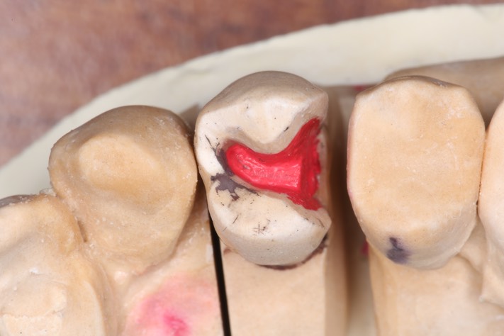 Alan Tamashiro #12 model