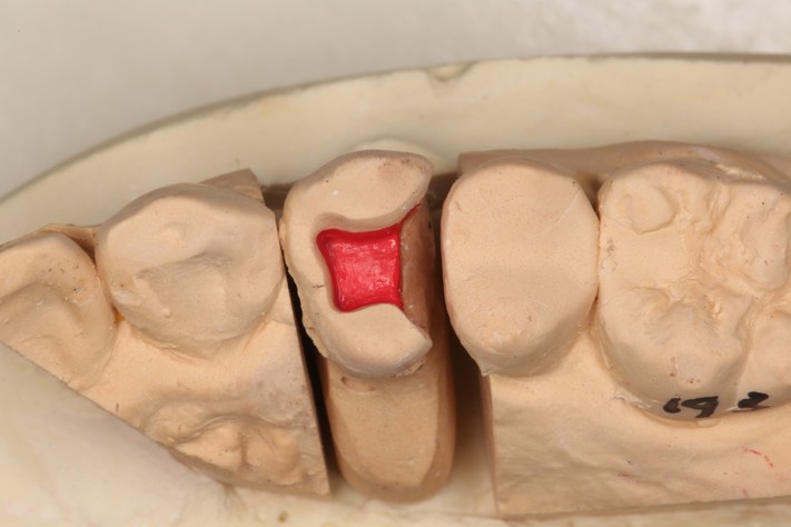 Brandon Yokota model