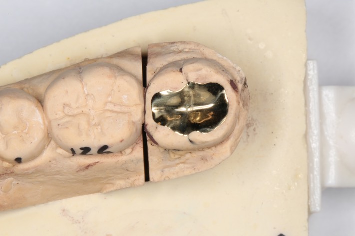 Stephanie Wong casting on model