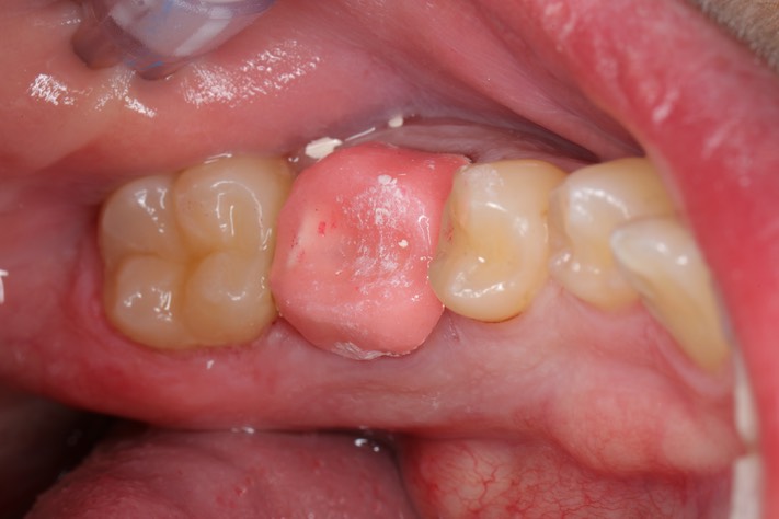 Brian Sato #19 provisional