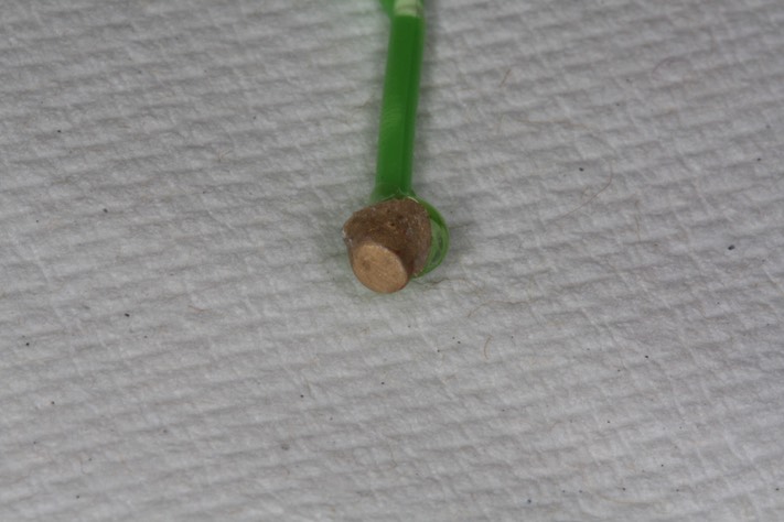 Charles Sugiyama #3 casting