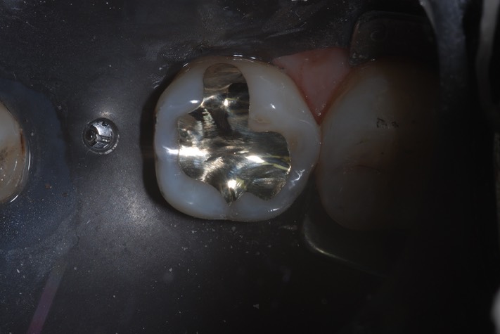 Charlie Sugiyama #19 finish