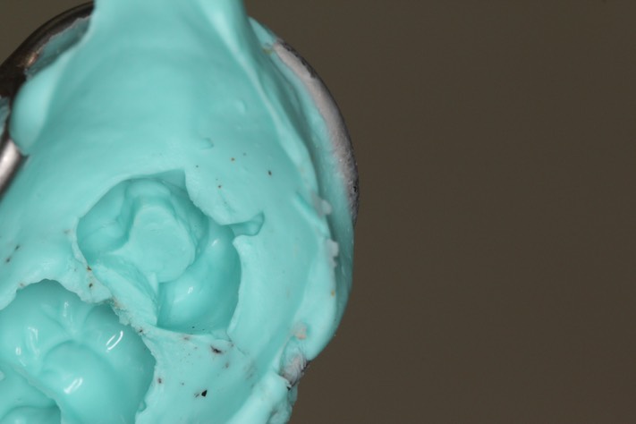 Terry Young #15 impression