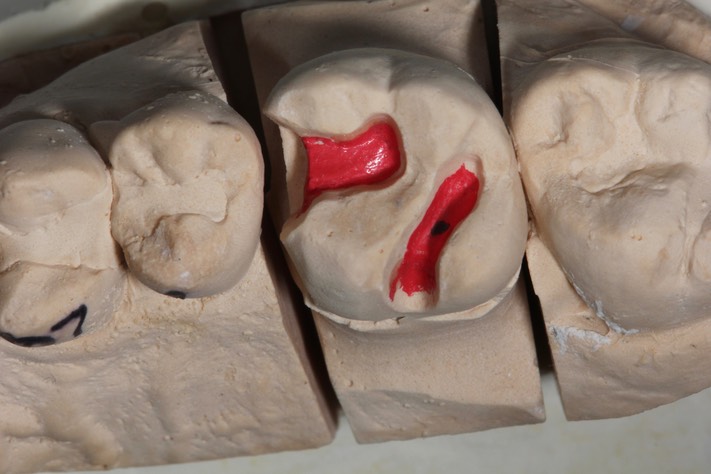 Nina Hayashi #14 model