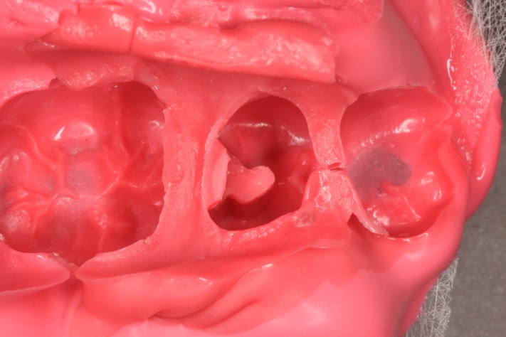 Scott Kanamori #29 impression